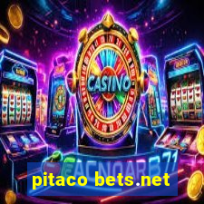 pitaco bets.net